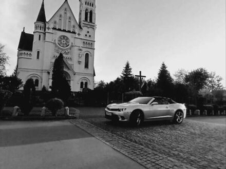 Шевроле Камаро 2015 в Киеве на Automoto.ua Серый Шевроле Камаро, объемом двигателя 3.6 л и пробегом 91 тыс. км за 18700 $, фото 1 на Automoto.ua