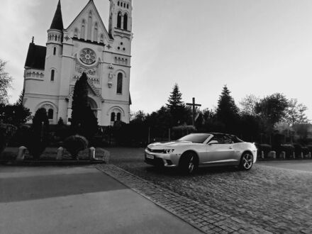 Шевроле Камаро 2015 в Киеве на Automoto.ua Серый Шевроле Камаро, объемом двигателя 3.6 л и пробегом 91 тыс. км за 18700 $, фото 1 на Automoto.ua