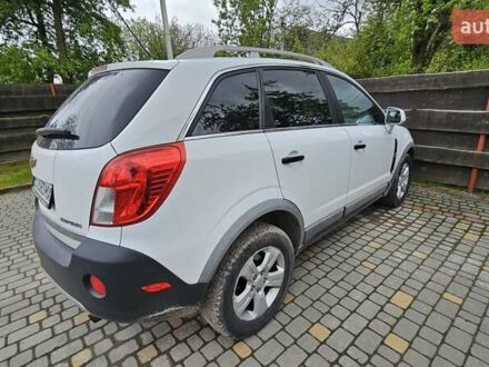Шевроле Каптива 2014 в Львове на Automoto.ua Белый Шевроле Каптива, объемом двигателя 0 л и пробегом 227 тыс. км за 9200 $, фото 1 на Automoto.ua