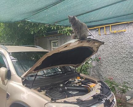 Бежевый Шевроле Каптива, объемом двигателя 3.2 л и пробегом 250 тыс. км за 7100 $, фото 8 на Automoto.ua