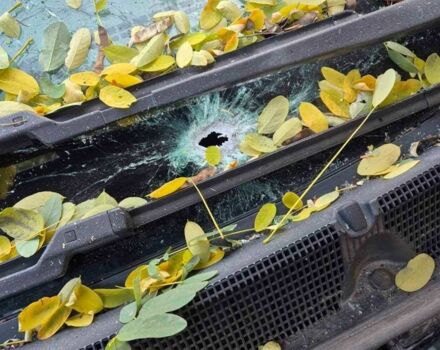 Синій Шевроле Інша, об'ємом двигуна 0 л та пробігом 147 тис. км за 7500 $, фото 5 на Automoto.ua