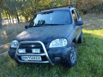 Чорний Шевроле Нива, об'ємом двигуна 1.69 л та пробігом 170 тис. км за 4000 $, фото 1 на Automoto.ua