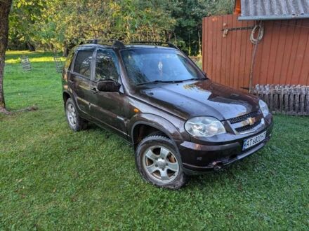 Шевроле Нива 2010 в Косове на Automoto.ua Коричневый Шевроле Нива, объемом двигателя 1.7 л и пробегом 170 тыс. км за 4800 $, фото 1 на Automoto.ua