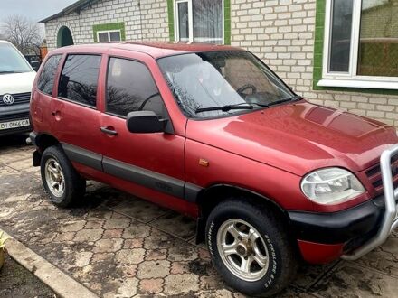 Шевроле Нива 2008 в Полтаве на Automoto.ua Красный Шевроле Нива, объемом двигателя 1.7 л и пробегом 286 тыс. км за 2700 $, фото 1 на Automoto.ua