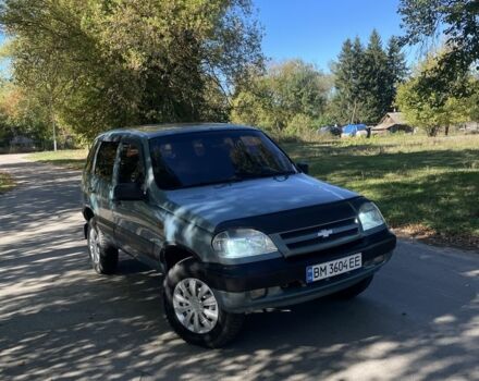 Сірий Шевроле Нива, об'ємом двигуна 1.7 л та пробігом 222 тис. км за 3250 $, фото 7 на Automoto.ua
