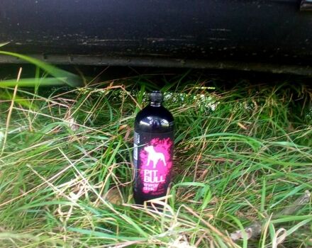 Серый Шевроле Нива, объемом двигателя 1.7 л и пробегом 117 тыс. км за 4000 $, фото 2 на Automoto.ua