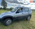 Серый Шевроле Нива, объемом двигателя 1.69 л и пробегом 135 тыс. км за 5800 $, фото 1 на Automoto.ua