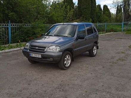 Шевроле Нива 2005 в Ямполе на Automoto.ua Серый Шевроле Нива, объемом двигателя 1.7 л и пробегом 150 тыс. км за 4399 $, фото 1 на Automoto.ua