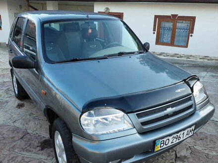 Шевроле Нива 2005 у Залещиках на Automoto.ua Сірий Шевроле Нива, об'ємом двигуна 1.69 л та пробігом 155 тис. км за 5200 $, фото 1 на Automoto.ua