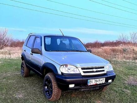 Шевроле Нива 2007 в Полтаве на Automoto.ua Серый Шевроле Нива, объемом двигателя 1.7 л и пробегом 200 тыс. км за 3900 $, фото 1 на Automoto.ua