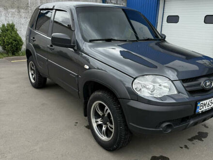 Сірий Шевроле Нива, об'ємом двигуна 1.69 л та пробігом 47 тис. км за 8700 $, фото 1 на Automoto.ua