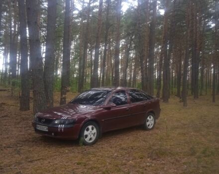 Шевроле Вектра 1996 в Шостке на Automoto.ua Красный Шевроле Вектра, объемом двигателя 0 л и пробегом 500 тыс. км за 2600 $, фото 1 на Automoto.ua