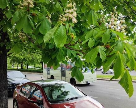 Красный Шевроле Вольт, объемом двигателя 1.4 л и пробегом 186 тыс. км за 14000 $, фото 4 на Automoto.ua