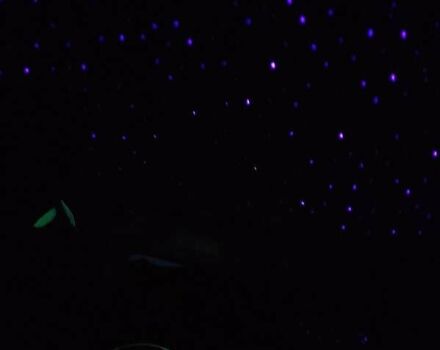 Белый Крайслер 300C, объемом двигателя 2.74 л и пробегом 200 тыс. км за 7999 $, фото 1 на Automoto.ua