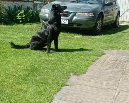 Зелений Крайслер Stratus, об'ємом двигуна 2 л та пробігом 142 тис. км за 3300 $, фото 6 на Automoto.ua