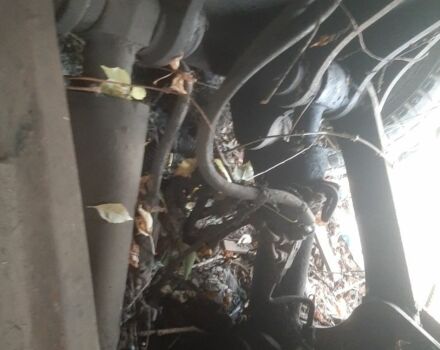 Сітроен С-Елізє, об'ємом двигуна 1.56 л та пробігом 0 тис. км за 6000 $, фото 1 на Automoto.ua