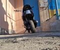 Сітроен С-Елізє, об'ємом двигуна 49 л та пробігом 0 тис. км за 5000 $, фото 2 на Automoto.ua