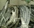 Сітроен С-Елізє, об'ємом двигуна 1.56 л та пробігом 0 тис. км за 2700 $, фото 7 на Automoto.ua