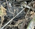 Сітроен С-Елізє, об'ємом двигуна 1.56 л та пробігом 0 тис. км за 849 $, фото 5 на Automoto.ua