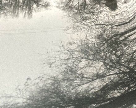 Серый Ситроен С-Элизе, объемом двигателя 1.2 л и пробегом 181 тыс. км за 5500 $, фото 9 на Automoto.ua