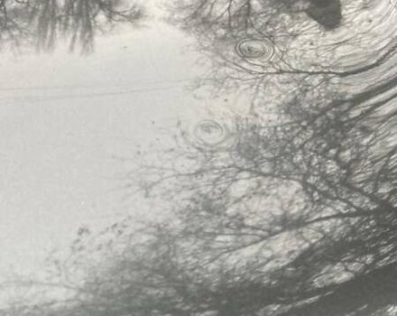 Сірий Сітроен С-Елізє, об'ємом двигуна 1.2 л та пробігом 181 тис. км за 5500 $, фото 8 на Automoto.ua