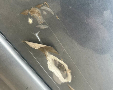 Сірий Сітроен С3, об'ємом двигуна 1.56 л та пробігом 270 тис. км за 3600 $, фото 15 на Automoto.ua