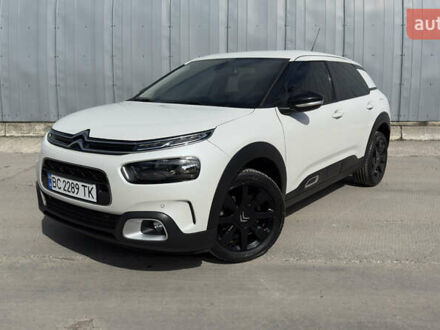 Сітроен C4 Кактус 2019 у Львові на Automoto.ua Білий Сітроен C4 Кактус, об'ємом двигуна 1.5 л та пробігом 73 тис. км за 16999 $, фото 1 на Automoto.ua