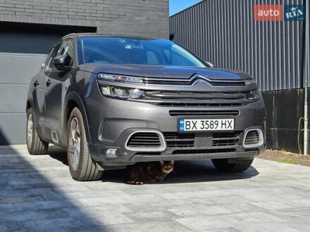 Ситроен C5 Aircross 2020 в Хмельницком на Automoto.ua Серый Ситроен C5 Aircross, объемом двигателя 1.5 л и пробегом 141 тыс. км за 22500 $, фото 1 на Automoto.ua