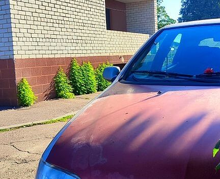 Серый Ситроен Ксара, объемом двигателя 1.6 л и пробегом 0 тыс. км за 1000 $, фото 1 на Automoto.ua