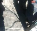 Белый Ситроен Jumpy, объемом двигателя 1.87 л и пробегом 385 тыс. км за 2200 $, фото 11 на Automoto.ua