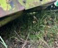 Клаас 6-70, объемом двигателя 0 л и пробегом 0 тыс. км за 4500 $, фото 3 на Automoto.ua