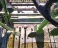 Клаас Консул, об'ємом двигуна 6 л та пробігом 0 тис. км за 6800 $, фото 3 на Automoto.ua