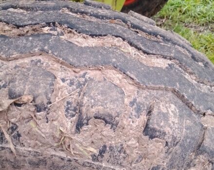 Зеленый Клаас Консул, объемом двигателя 0 л и пробегом 10 тыс. км за 17000 $, фото 8 на Automoto.ua