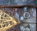 Клаас Домінатор, об'ємом двигуна 0 л та пробігом 0 тис. км за 35850 $, фото 11 на Automoto.ua