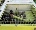 Клаас Доминатор, объемом двигателя 0 л и пробегом 0 тыс. км за 28500 $, фото 6 на Automoto.ua