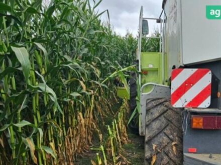 Клаас Ягуар 2000 у Умани на Automoto.ua Клаас Ягуар, об'ємом двигуна 0 л та пробігом 0 тис. км за 35500 $, фото 1 на Automoto.ua