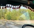 Клаас Лексіон, об'ємом двигуна 9.57 л та пробігом 0 тис. км за 50000 $, фото 22 на Automoto.ua