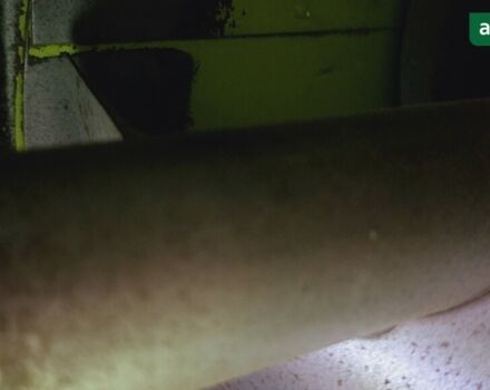 Клаас Мега, об'ємом двигуна 0 л та пробігом 0 тис. км за 70777 $, фото 25 на Automoto.ua