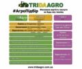 Зелений Клаас Arion 640, об'ємом двигуна 0 л та пробігом 0 тис. км за 46209 $, фото 1 на Automoto.ua