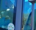 Клаас Atles 946, об'ємом двигуна 7.15 л та пробігом 0 тис. км за 30000 $, фото 6 на Automoto.ua
