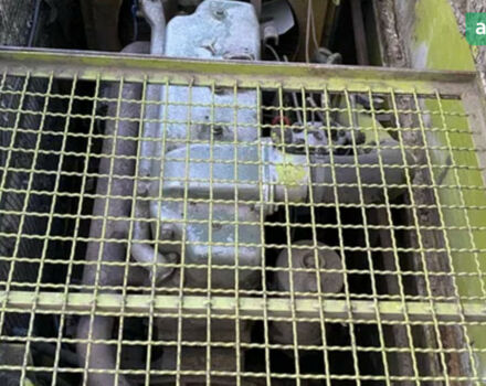 Клаас Dominator 85, об'ємом двигуна 0 л та пробігом 0 тис. км за 9500 $, фото 7 на Automoto.ua