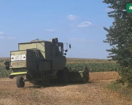 Клаас Dominator 85, объемом двигателя 0 л и пробегом 0 тыс. км за 12800 $, фото 1 на Automoto.ua