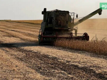 Клаас Dominator 85, объемом двигателя 0 л и пробегом 0 тыс. км за 12800 $, фото 1 на Automoto.ua