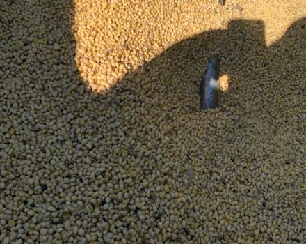 Клаас Другая, объемом двигателя 0 л и пробегом 0 тыс. км за 10000 $, фото 5 на Automoto.ua