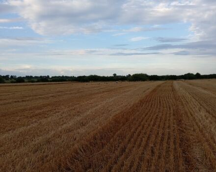 Клаас Другая, об'ємом двигуна 2.35 л та пробігом 2 тис. км за 19240 $, фото 8 на Automoto.ua