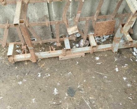 Клаас Другая, объемом двигателя 1.2 л и пробегом 0 тыс. км за 789 $, фото 1 на Automoto.ua