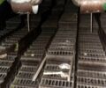 Клаас Mega 208, об'ємом двигуна 0 л та пробігом 0 тис. км за 22000 $, фото 4 на Automoto.ua