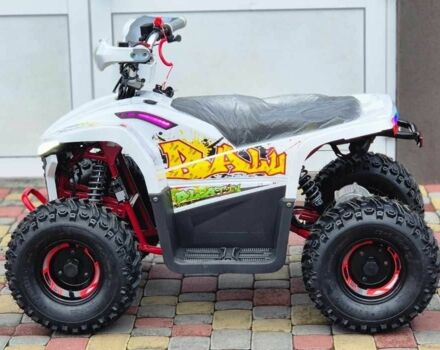 Comman Balu TEA750, объемом двигателя 0 л и пробегом 0 тыс. км за 990 $, фото 13 на Automoto.ua