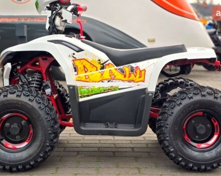 Comman Balu TEA750, объемом двигателя 0 л и пробегом 0 тыс. км за 990 $, фото 6 на Automoto.ua