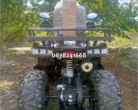 Comman Scorpion 200cc, объемом двигателя 0 л и пробегом 0 тыс. км за 1950 $, фото 2 на Automoto.ua